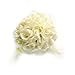 1 X Ivory Cream Rose Ball Wedding Flower Decoration by E-MART