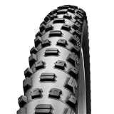 Schwalbe 2010 Nobby Nic EVO Mountain Bicycle Tire