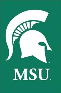 Michigan State University Spartans Flag - Garden Size