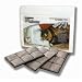 Drinkwell Platinum Replacement Cat Filters with 3 Filters