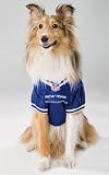 New York Giants Dog Jersey