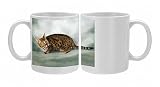 bengal Photo Mugs