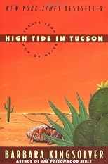 High Tide in Tucson