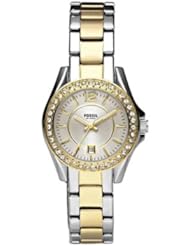 Fossil Womens ES2880 Riley Mini Stainless Steel Two-Tone Watch