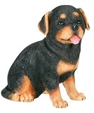 Puppies