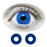 Royalblue Eyes Motif Lenses from BIONORA 1 Year use including Lens Case