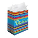 Retirement Stripes Gift Bag