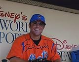 David Wright Autographed / Signed New York Mets Baseball 8x10 Photo
