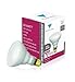 Triangle Bulbs T20829, 65-Watt Incandescent BR30 Flood Light Bulbs, 12-Pack