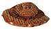 Webkinz Plush Stuffed Animal Tiger Snake