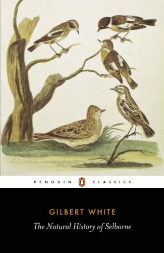 Childrens Toyshop  Books : The Natural History of Selborne (Penguin English Library)