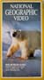 National Geographic Video: Polar Bear Alert