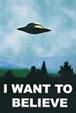 TV『THE X FILES/エックスファイル（I WANT TO BELIEVE）《GBC061》』ポスター☆CINEMAPOSTER通販☆ I believe