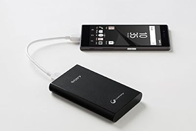 Sony CP-E6 5800mAH Power Bank with Polymer Battery (Black)