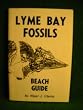 Lyme Bay Fossils: Beach Guide