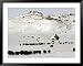 The Buffalo Herd of the Assinibone and Gros Ventre Indians Framed Art Poster Print, 49x39
