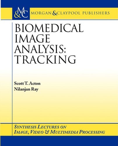 Diagnostic-Imaging