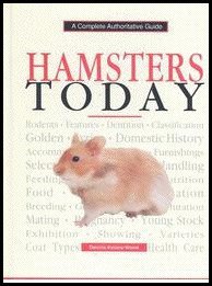Hamsters Today