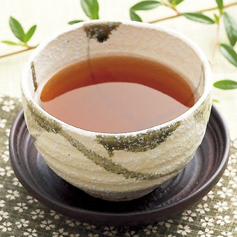 ガンコ親父のほうじ茶パック ポット用 20個入【３０日間返品OK!】【ティーライフ】
