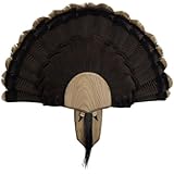 Walnut Hollow Country Deluxe Turkey Mounting & Display Kit in Solid Oak