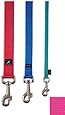 Premier Nylon Leash, 3/4 in x 6 Ft, Raspberry Pink