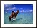 Young Boys Playing in Water at White Beach, Boracay Island, Aklan, Philippines Framed Photographic Poster Print by Mark Daffey, 29x21