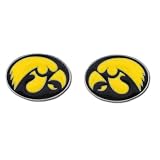 NCAA Iowa Hawkeyes Stud Earrings