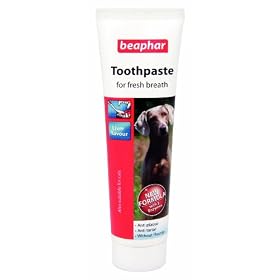 Beaphar Toothpaste for Dogs And Cats, 100g