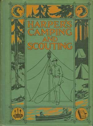 Scouting