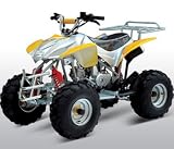 ATA-110H4 Youth ATV