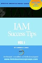 IAM Success Tips: Identity And Access Management Success Strategies (Volume 1)