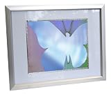 Digital Spectrum MemoryVue 1700 U-30350 17 Digital Picture Frame (Silver)