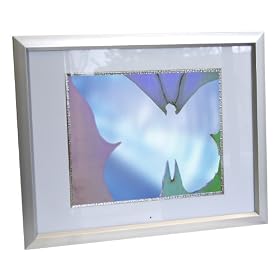 Digital Spectrum MemoryVue 1700 U-30350 17 Digital Picture Frame (Silver)