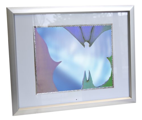Digital Spectrum MemoryVue 1700 U-30350 17 Digital Picture Frame (Silver)