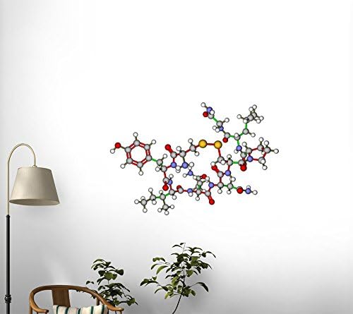 Wallmonkeys WM314501 Oxytocin Love Hormone Molecular Structure Peel and Stick Wall Decals (18 in W x 12 in H)