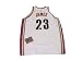 Lebron James Autographed/Hand Signed Cleveland Cavaliers Authentic White Jersey