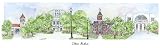 Ohio State University - Collegiate Scenes - 9" x 18"