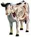 3-D Cow Anatomy Puzzle