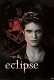 Twilight - Eclipse - Edward Crest - Maxi Poster - 61cm x 91.5cm