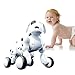 NATAMO Cuddly Interactive Remote Control Electronic Robot Pet Dog Puppy - Go Forward/Backward, Turn Left/Right, Sing, Dance, Crawl, Show, Study, Coquetry