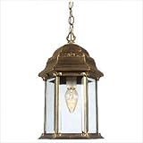 Boulevard Medium Chain Pendant Finish: Frosted Umber