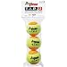 Pro Penn TIP 2 Tennis Training Balls - 3 Pack - 521851