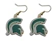 Michigan State Spartans Dangle Logo Earring Set Ncaa Charm Gift