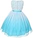 Tulle Rosette Spring Easter Flower Girl Dress in Ombre Fuchsia Aqua Purple Red 2-14