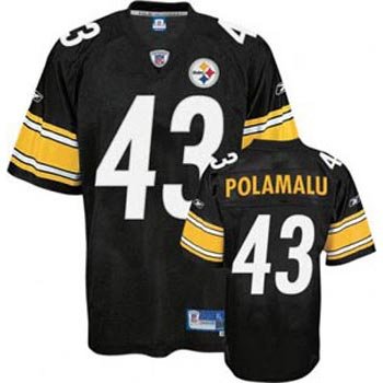 Troy Polamalu Pittsburgh Steelers NFL Youth Reebok Premier Jersey - Youth-S