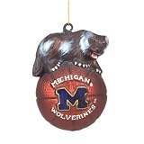 Michigan Wolverines NCAA Glass Mascot Basketball Ornament (5)