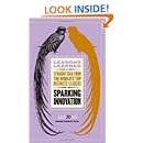 Sparking Innovation (Lessons Learned)