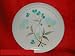 Noritake Pizzicato #8582 Dinner Plates