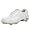 White/Ice White