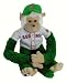 Boston Red Sox Green Irish Pride 27 Rally Monkey